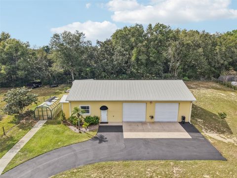 Tiny photo for 35649 County Road 439, Eustis, FL 32736 (MLS # G5103809)
