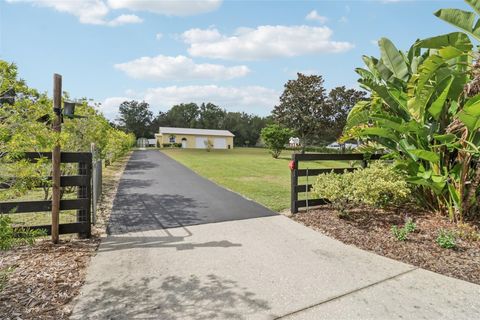 Tiny photo for 35649 County Road 439, Eustis, FL 32736 (MLS # G5103809)