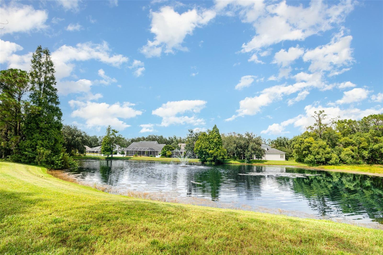 FISHHAWK RANCH PG 2 - Residential