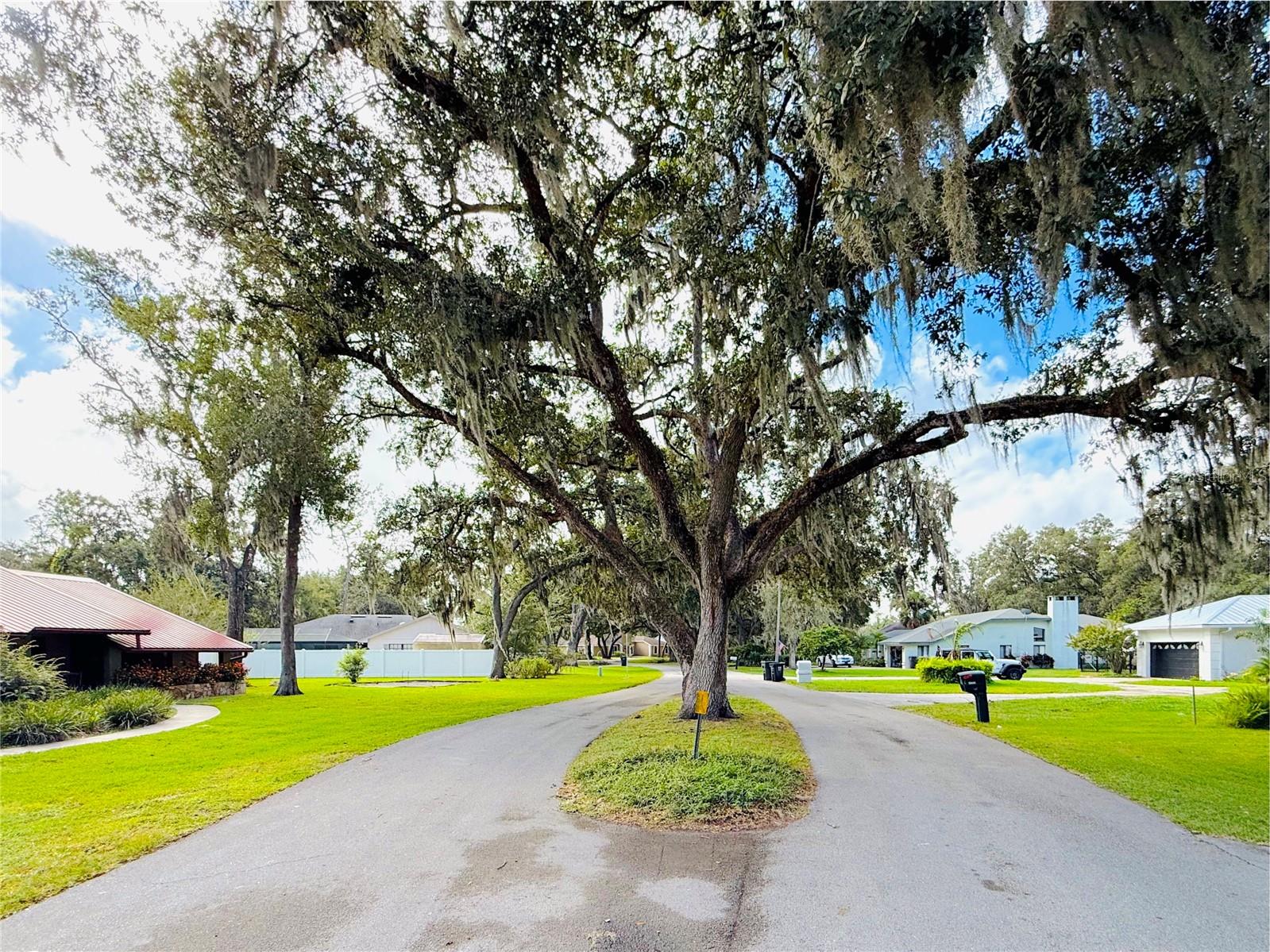 DEER BROOKE - Residential