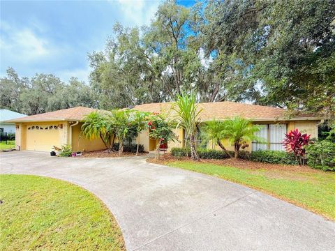 Photo of 5901 Deer Flag Drive, Lakeland, FL 33811 (MLS # O6350453)