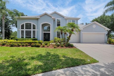 18107 SUGAR BROOKE DRIVE TAMPA FL 33647