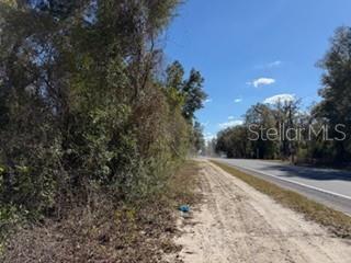 FOREST VIEW - Residential