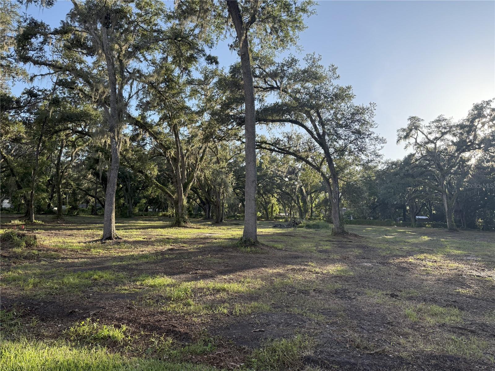 SHADY OAK ESTATES - Land