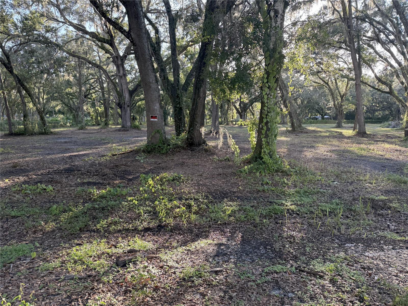 SHADY OAK ESTATES - Land