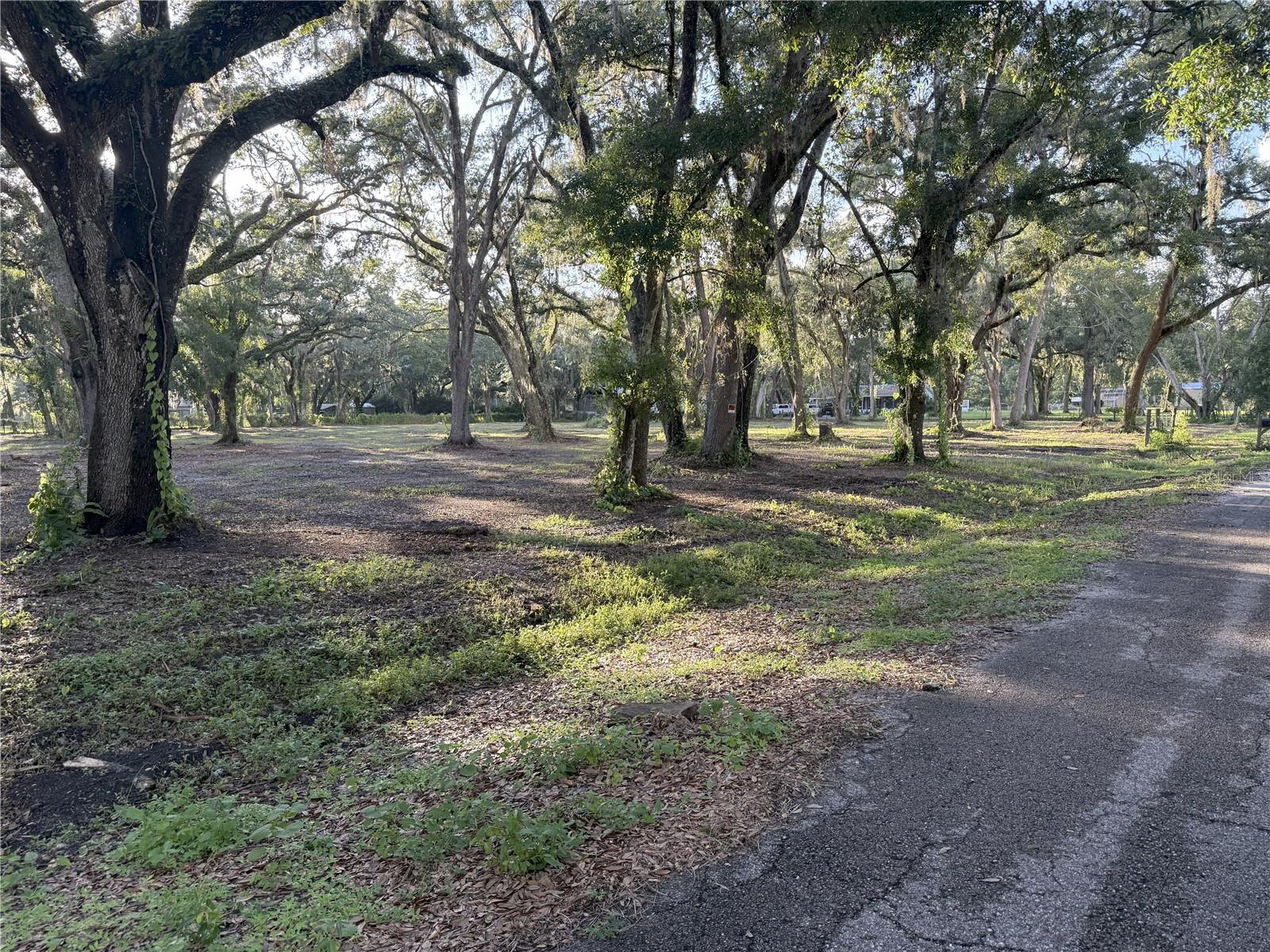 SHADY OAK ESTATES - Land