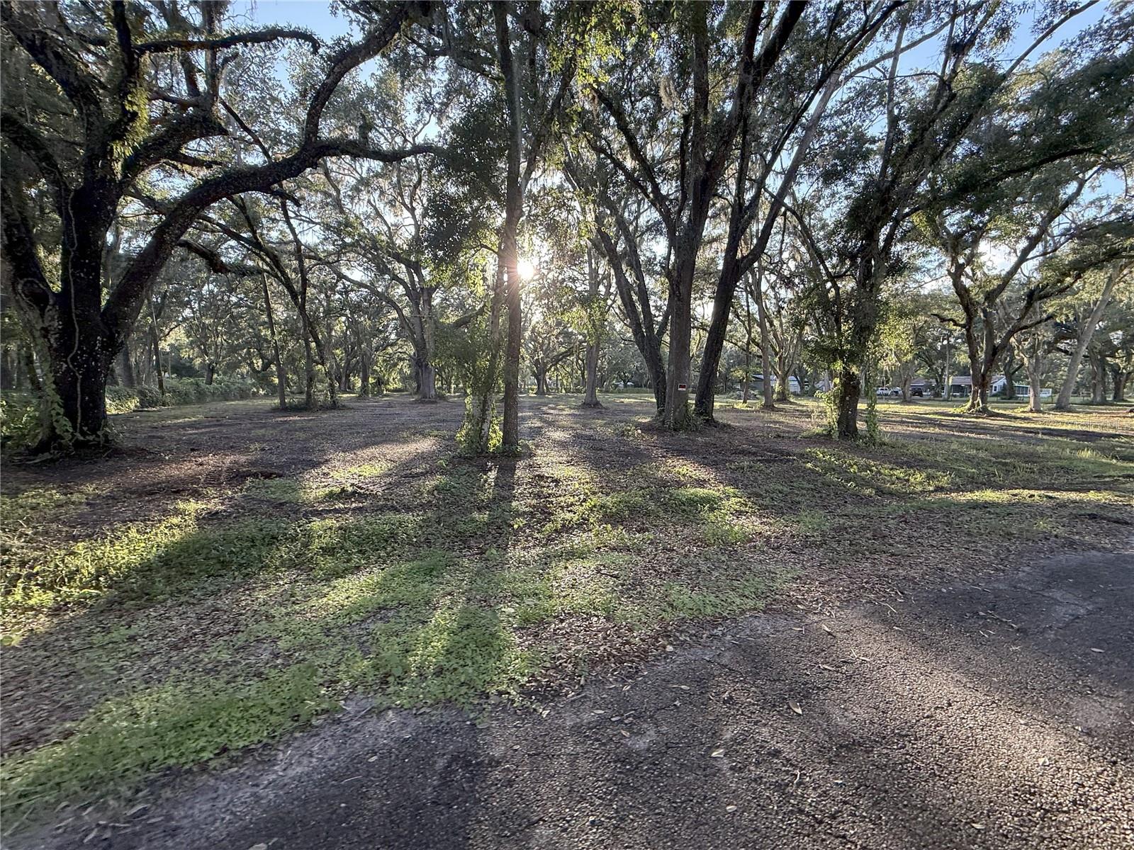 SHADY OAK ESTATES - Land