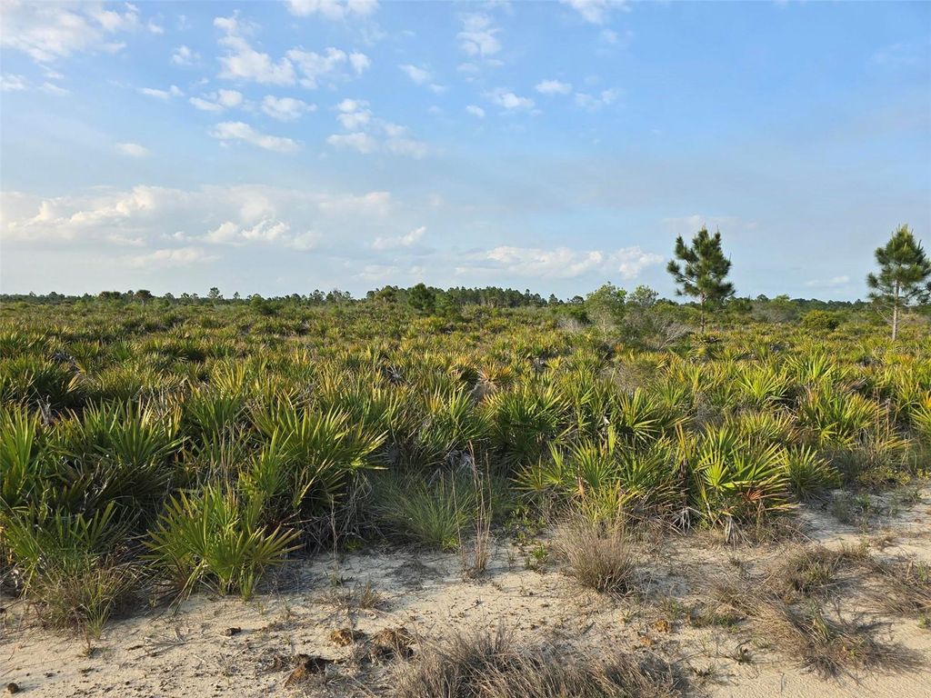 Photo of 49173 Bermont Road, Punta Gorda, FL 33982 (MLS # A4692295)