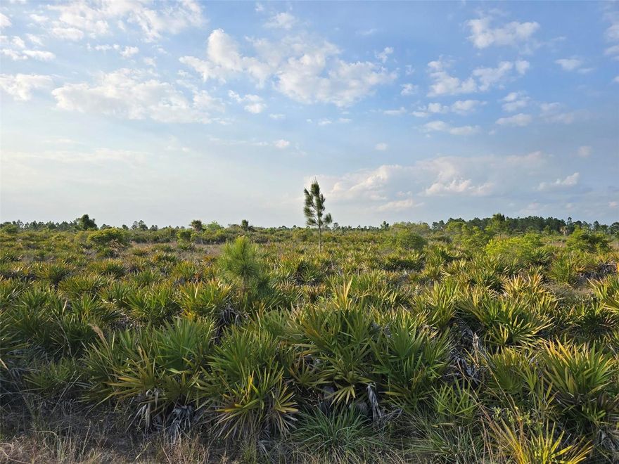 Build your Dream Home on this Beautiful 5 Acre lot, located minuets from Punta Gorda Airport, Hwy 75, downtown Punta Gorda, the famous Fisherman’s Village, restaurants, shopping, entertainment and a short drive to many beaches like Boca Grande known as "Tarpon Capital of the World" for its world-class fishing and boating.
