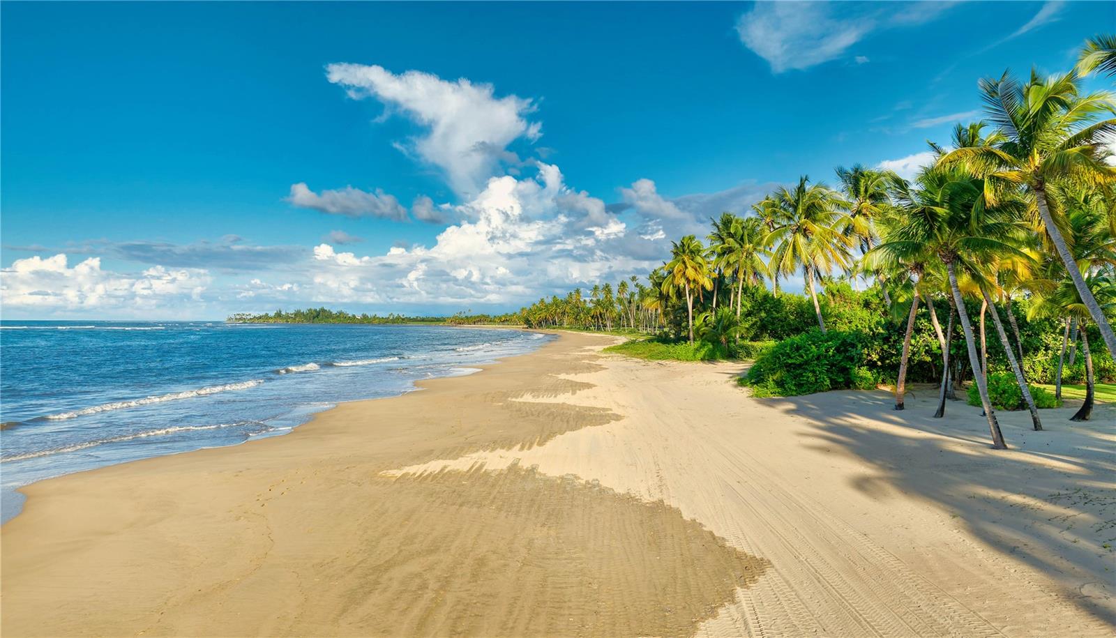 FOUR SEASONS RESORT AND RESIDENCES PUERTO RICO - Residential