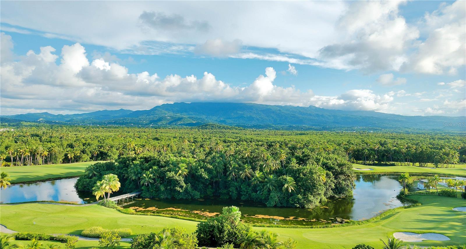 FOUR SEASONS RESORT AND RESIDENCES PUERTO RICO - Residential