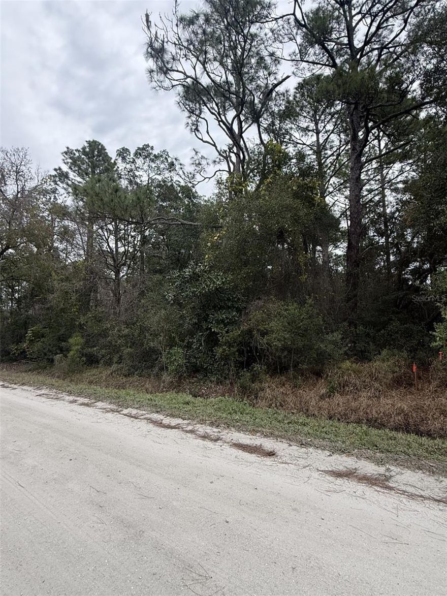 Come and see this .26-acre lot located in Daytona Park Estates in Deland Area Close to shopping, Parks and major roadways.
 Bring your own builder and build your dream Home on this spacious lot. Don't miss this opportunity!