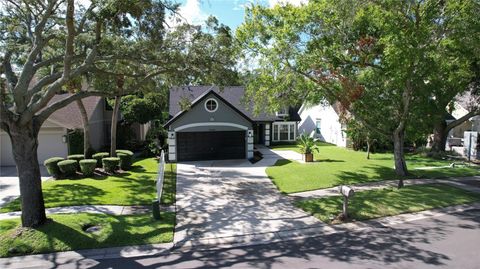 A home in TAMPA