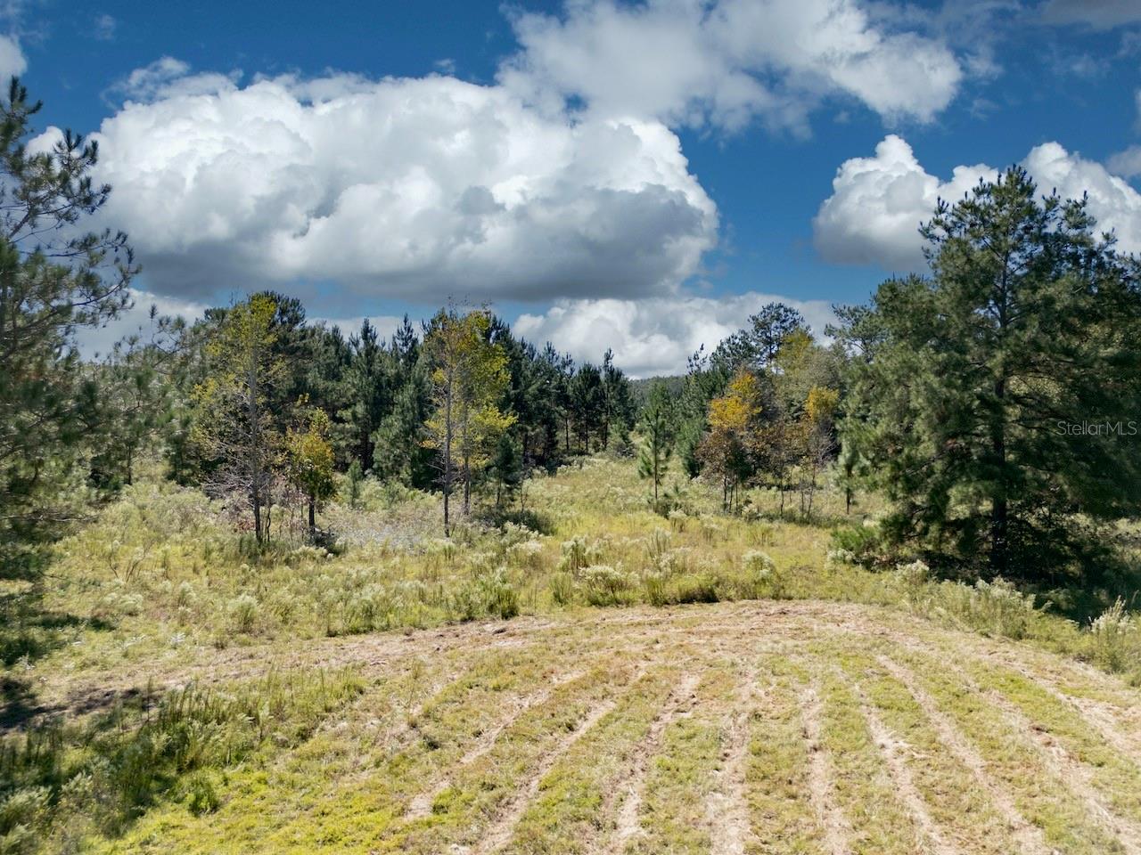 HAMPTON FARMS 34 - Land