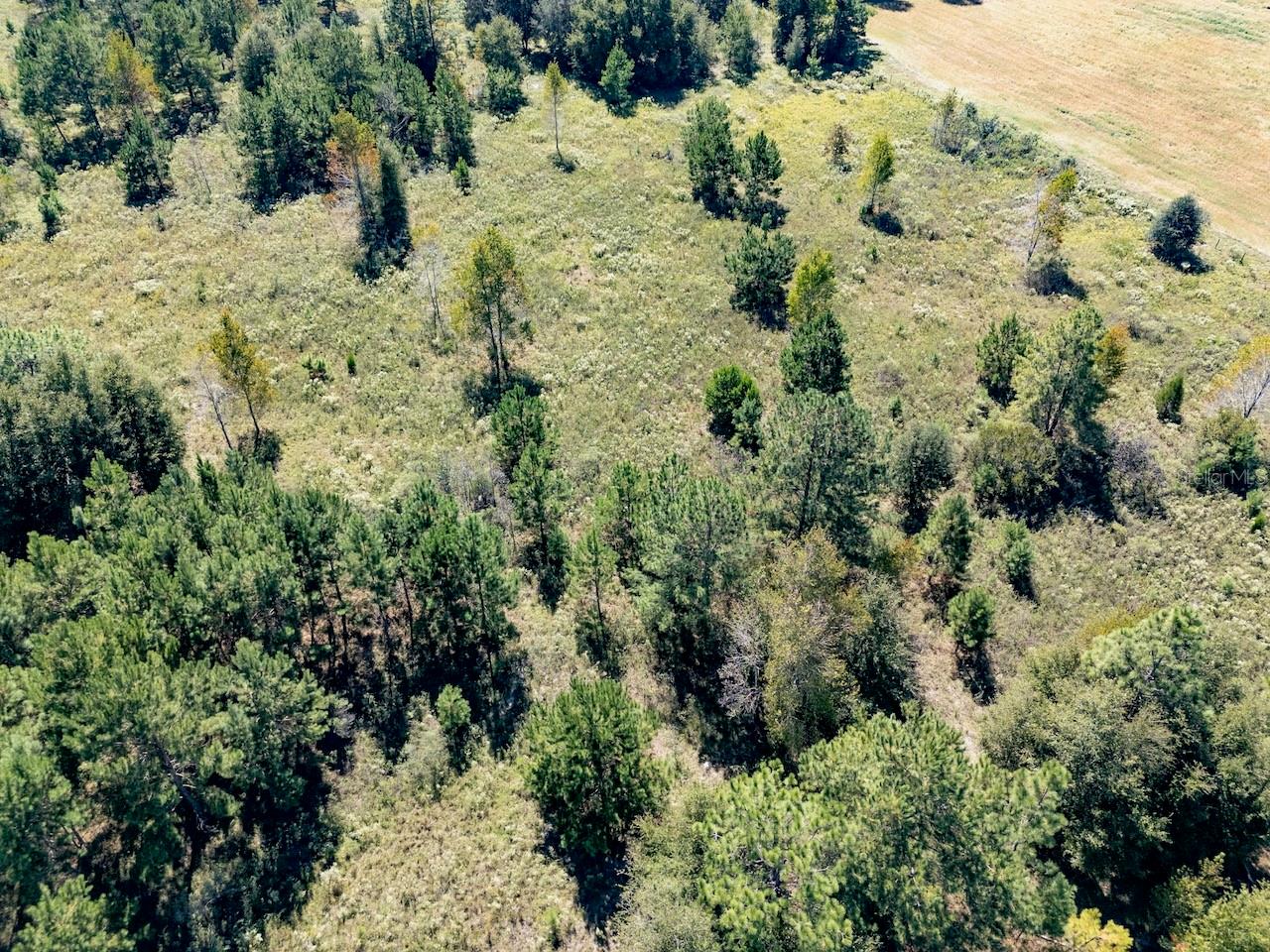 HAMPTON FARMS 34 - Land