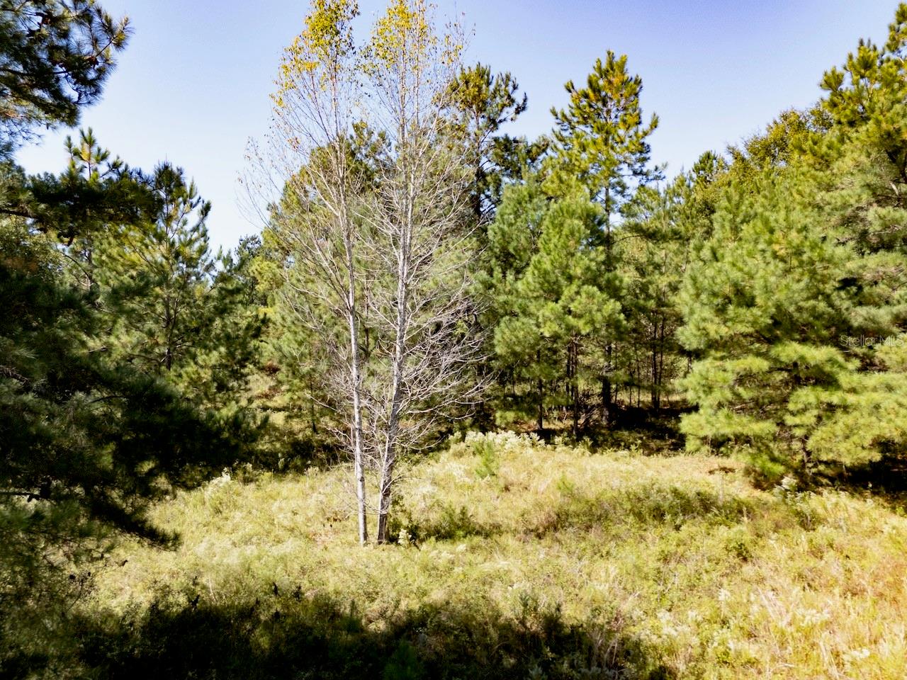 HAMPTON FARMS 34 - Land