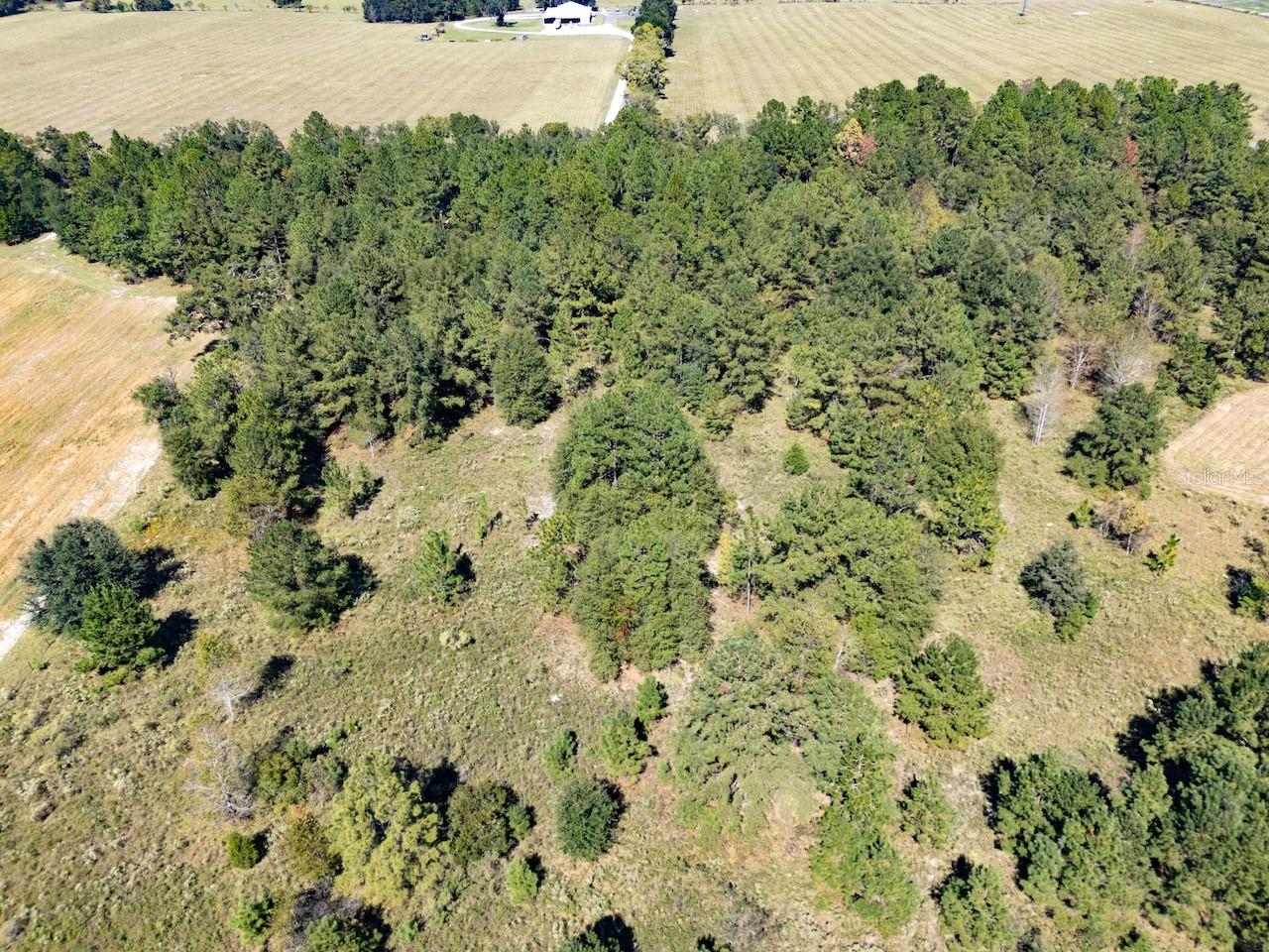 HAMPTON FARMS 34 - Land