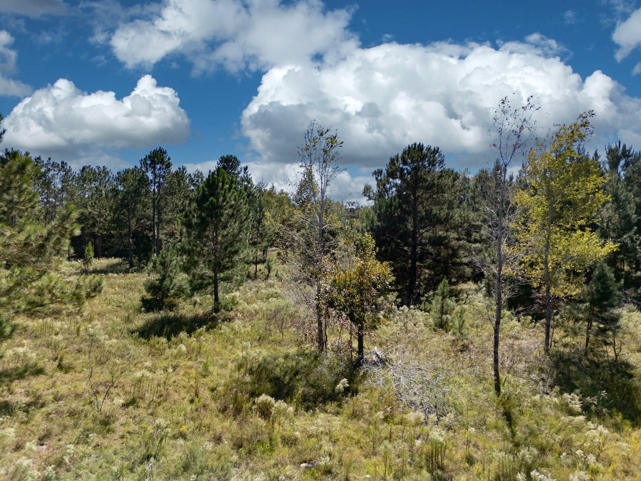 HAMPTON FARMS 34 - Land