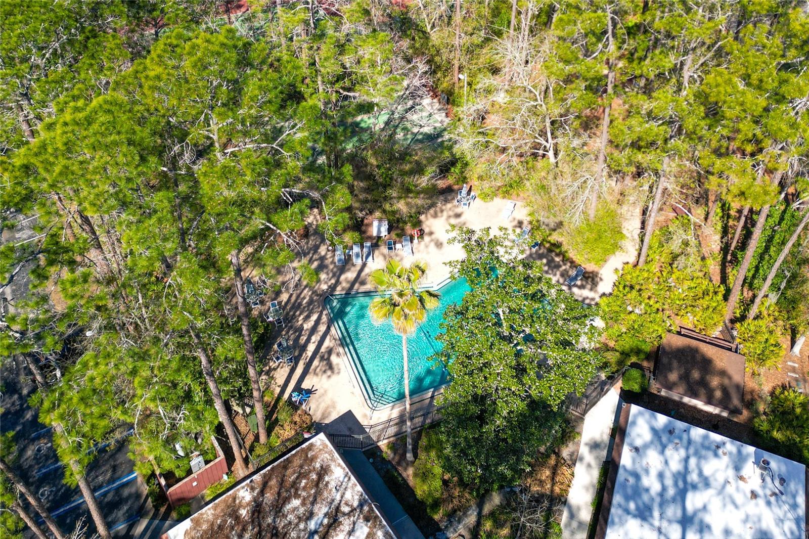 TURKEY CREEK FOREST UNIT 1 REP - Residential