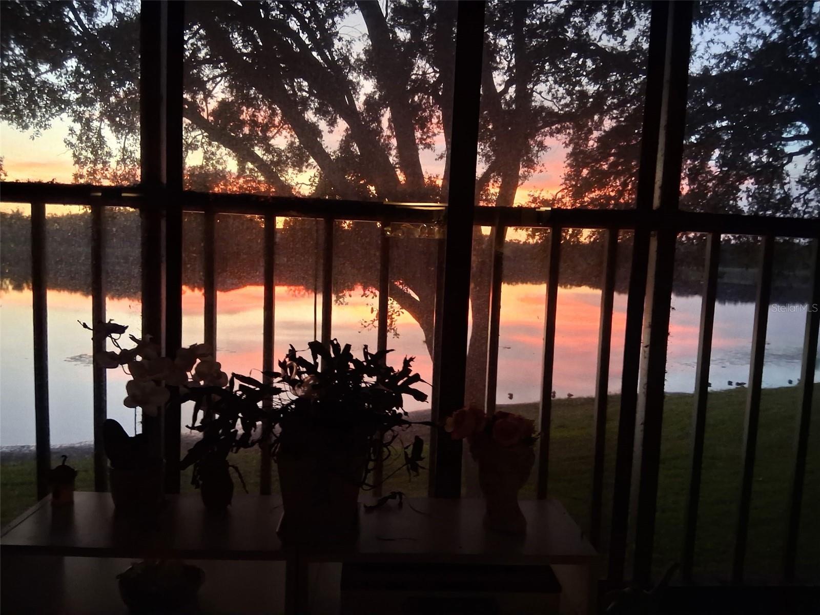 VILLAS OF LAKE ARBOR - Residential