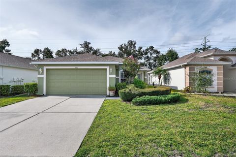 Photo of 2911 Banyan Hill Lane, Land O Lakes, FL 34639 (MLS # TB8425835)