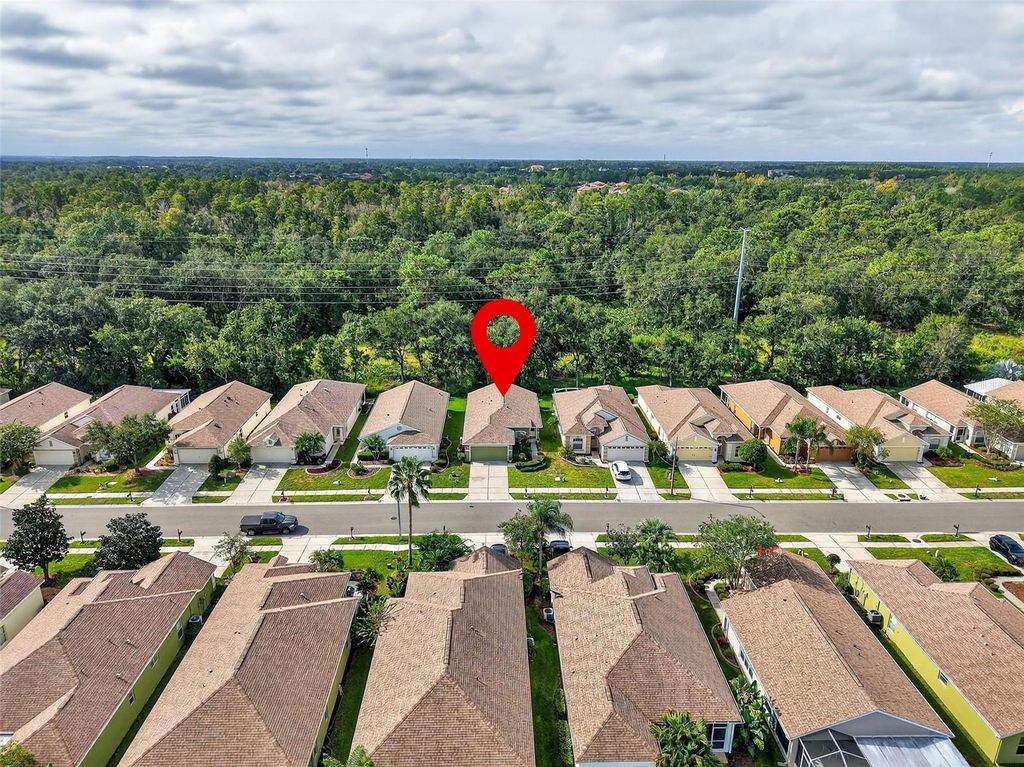 Photo of 2911 Banyan Hill Lane, Land O Lakes, FL 34639 (MLS # TB8425835)