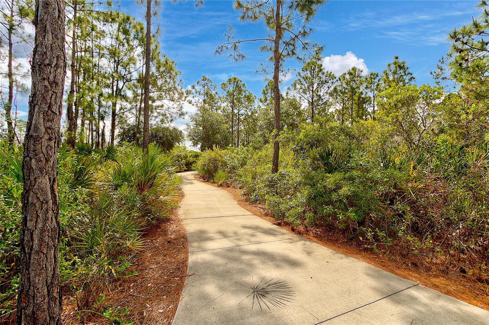 GRAND PALM PH 1A - Residential