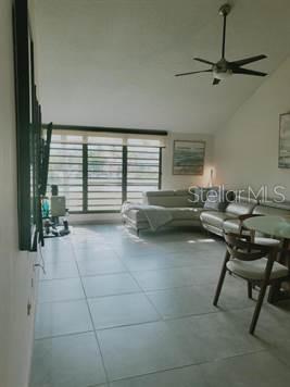 BEACH VILLAGE @ PALMAS DEL MAR - Residential