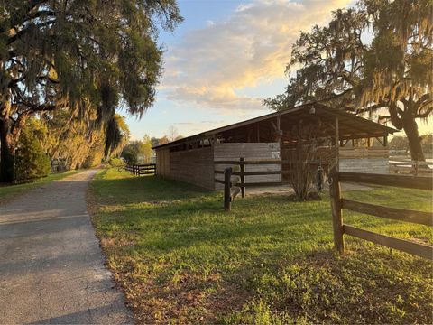Tiny photo for 10555 NW 28th Place, Ocala, FL 34482 (MLS # G5109041)