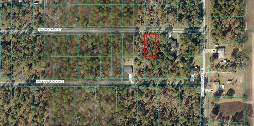 Opportunity knocks! Own a quarter-acre lot in the peaceful and growing community of Rainbow Lakes Estates – all at an unbeatable price. Whether you're looking to build now or invest for the future, this lot offers: Paved roads & no HOA fees, Surrounded by nature, lakes, and outdoor recreation. Just minutes from Rainbow Springs and Downtown Dunnellon. Easy access to Ocala and Gainesville