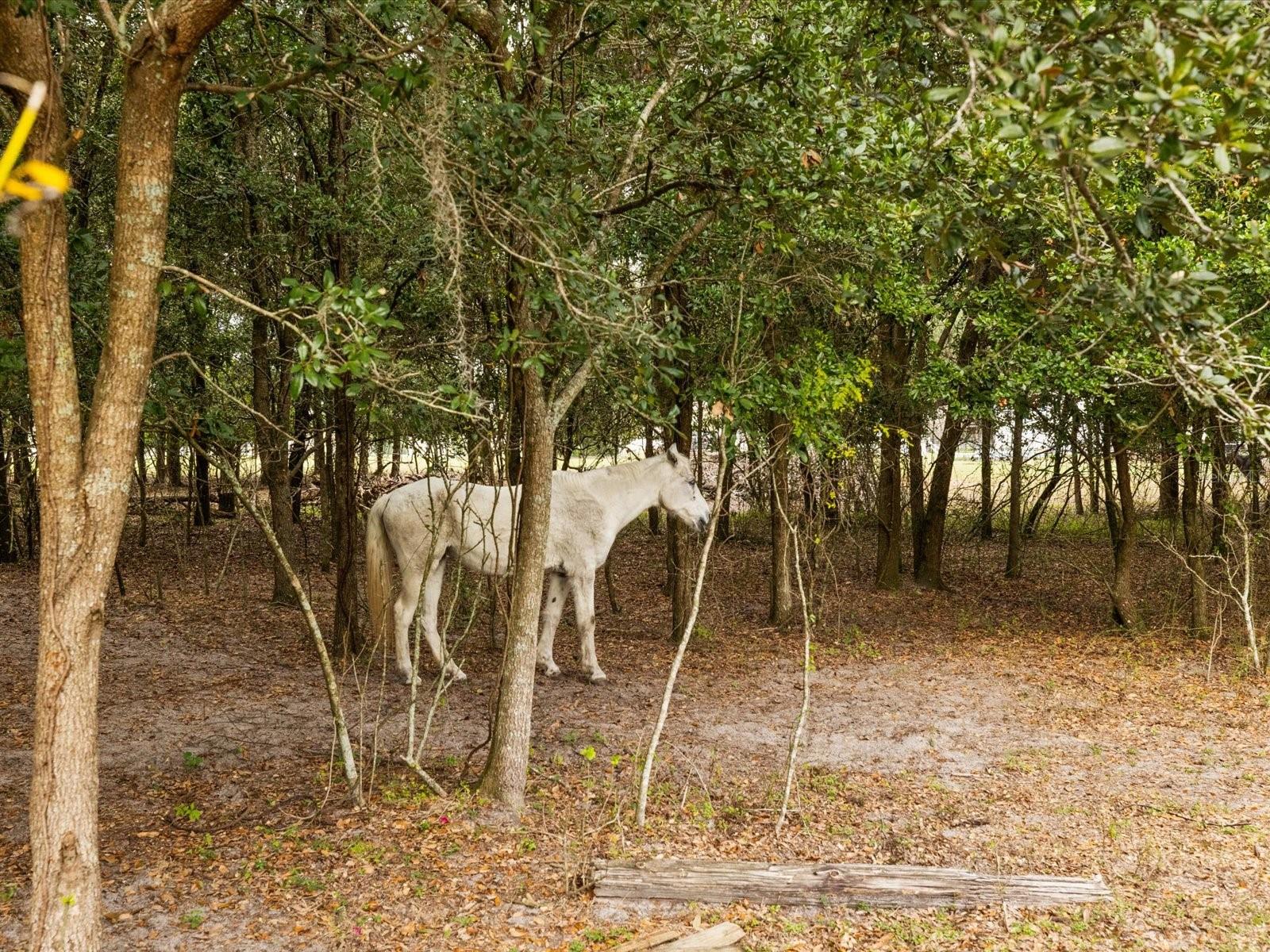 LAKE BERNADETTE 02B - Residential
