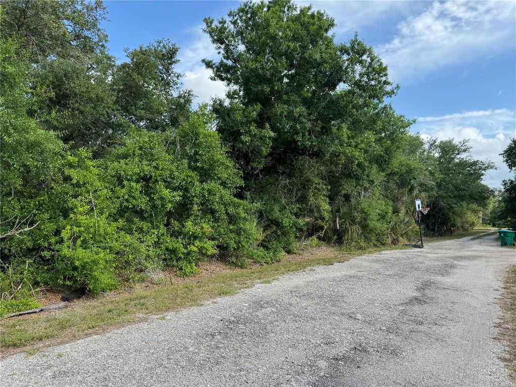 Photo of 13252 Pine Run Terrace, Punta Gorda, FL 33955 (MLS # TB8438416)