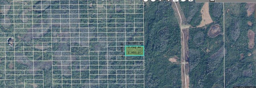 Vacant land for sale on Dill Road in Orlando, FL 32820. "Zoning: A-2" This spacious 4.94-acre parcel offers a great opportunity for investment or future development in a growing area. Enjoy a peaceful setting with convenient access to nearby roads, schools, and amenities—perfect for building or holding as a long-term asset. Pin Location: Latitude  28.55087666, Longitude -81.06334912