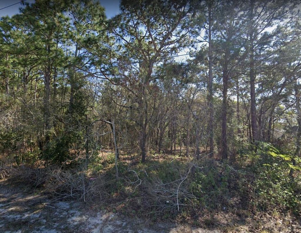 Photo of 4430 Landover Boulevard, Spring Hill, FL 34609 (MLS # O6374081)