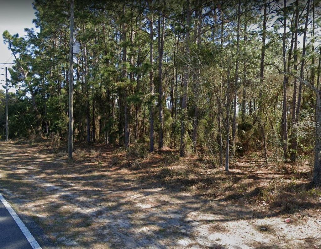 Photo of 4430 Landover Boulevard, Spring Hill, FL 34609 (MLS # O6374081)