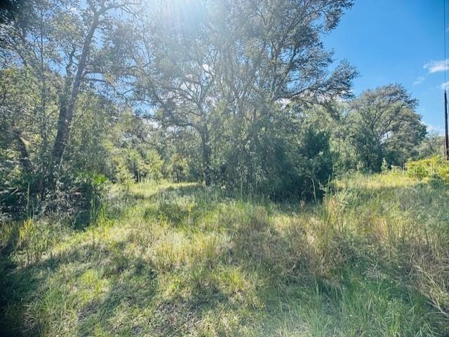 KAL RIVER FOREST HIDEAWAY - Residential