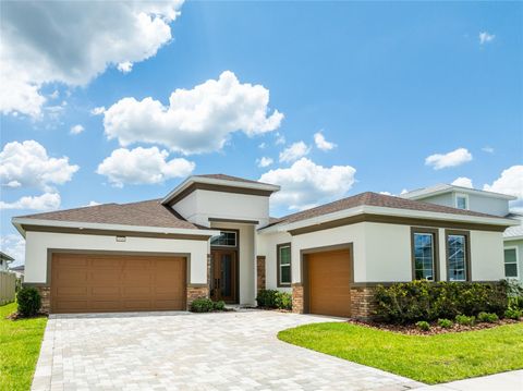 8749 DRUMMER PLANK DRIVE WESLEY CHAPEL FL 33545