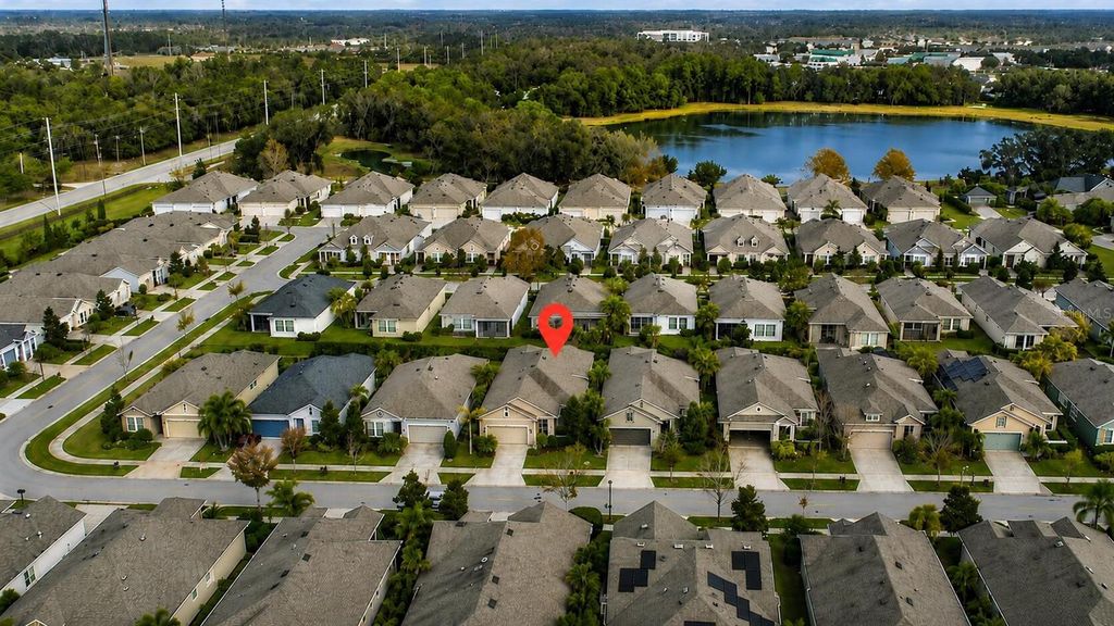 Photo of 13928 Swallow Hill Drive, Lithia, FL 33547 (MLS # O6408388)