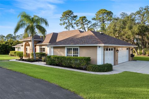 Tiny photo for 15305 Shady Lane, Tavares, FL 32778 (MLS # G5104723)