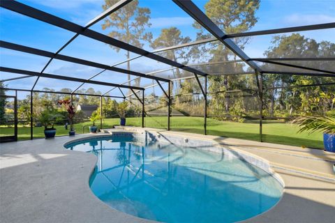 Tiny photo for 15305 Shady Lane, Tavares, FL 32778 (MLS # G5104723)