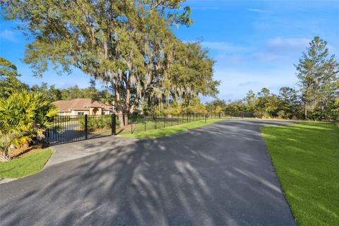 Tiny photo for 15305 Shady Lane, Tavares, FL 32778 (MLS # G5104723)