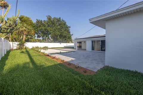 A home in ST PETE BEACH