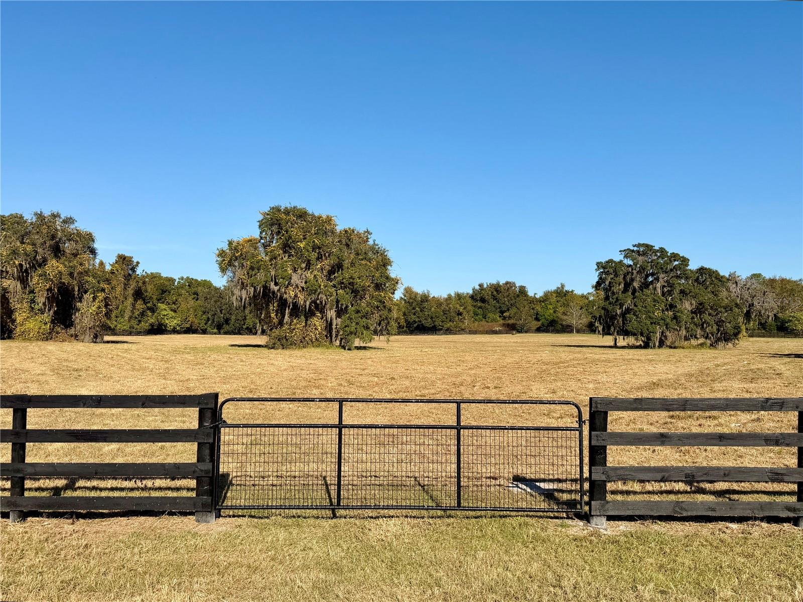 VIA PARADISUS - Land