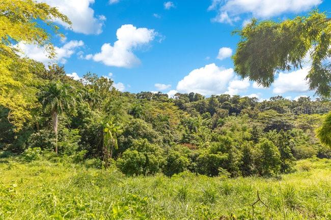 ENSENADA - Residential