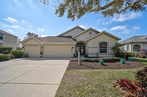 A home in PARRISH