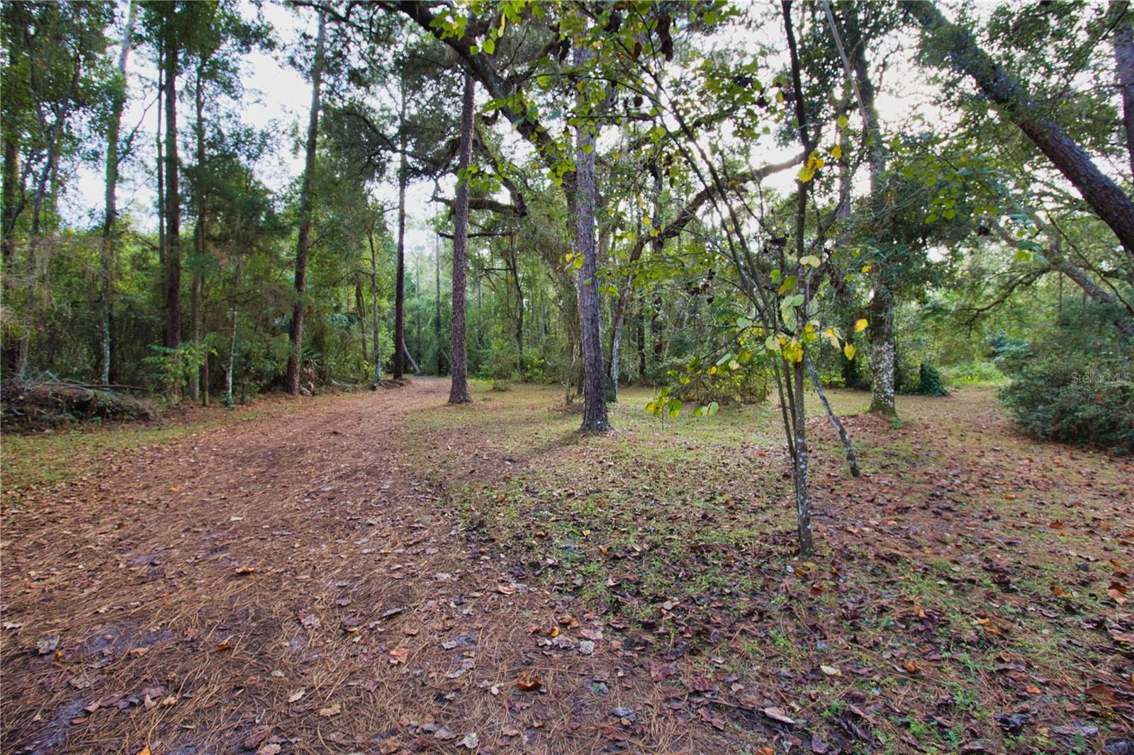 E330 FT OF NW1/4 OF SE1/4 LYING N OF ROAD - Residential