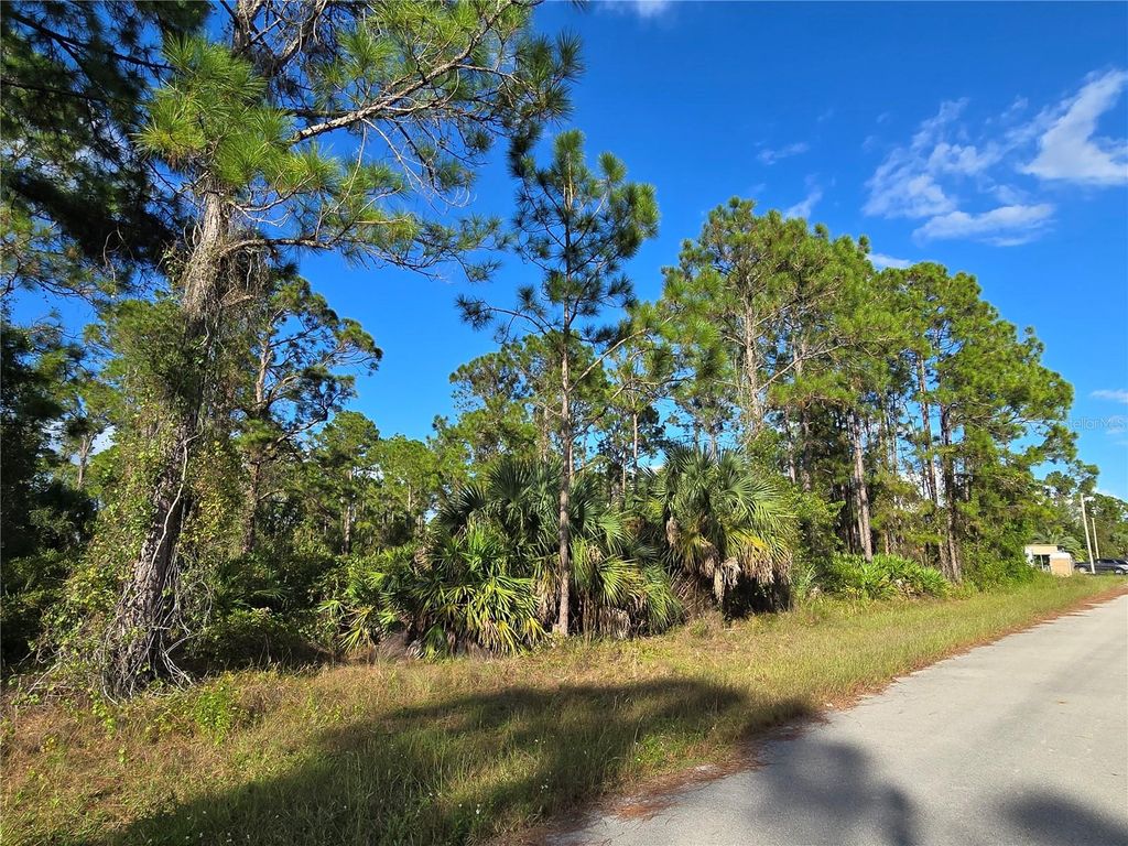 Photo of 1137 Rambler Street, Lehigh Acres, FL 33974 (MLS # O6354551)