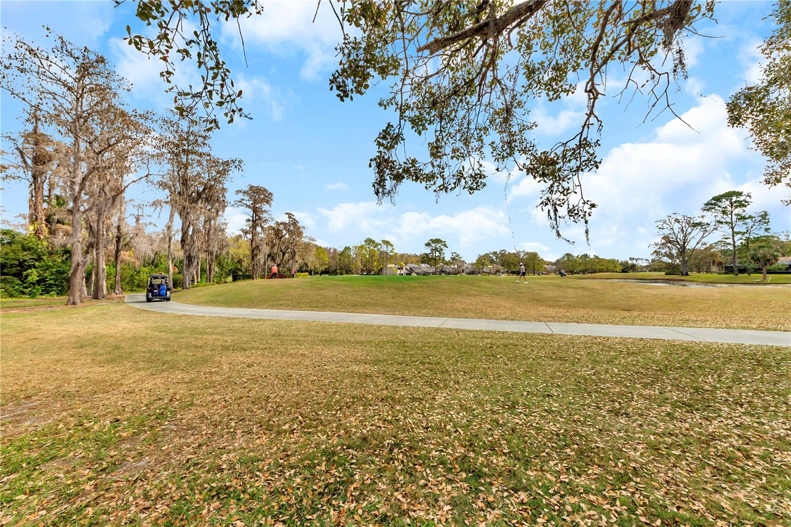 CARROLLWOOD VILLAGE ROLLING GR - Residential