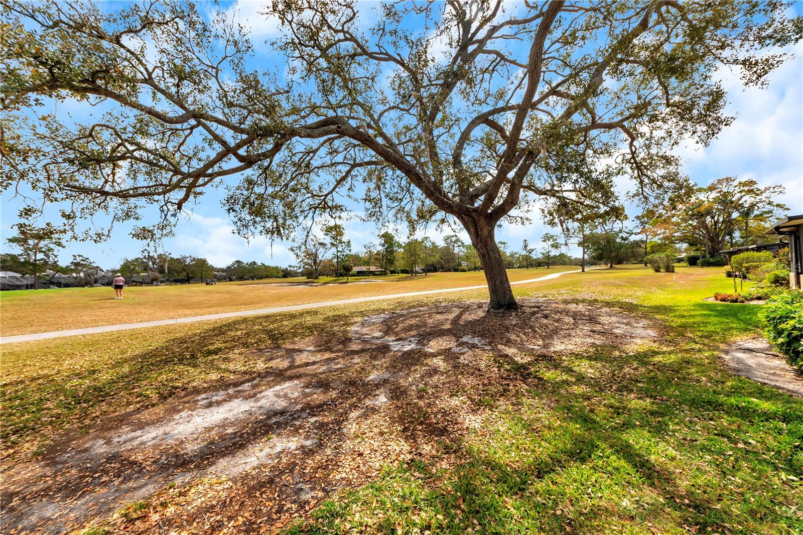 CARROLLWOOD VILLAGE ROLLING GR - Residential