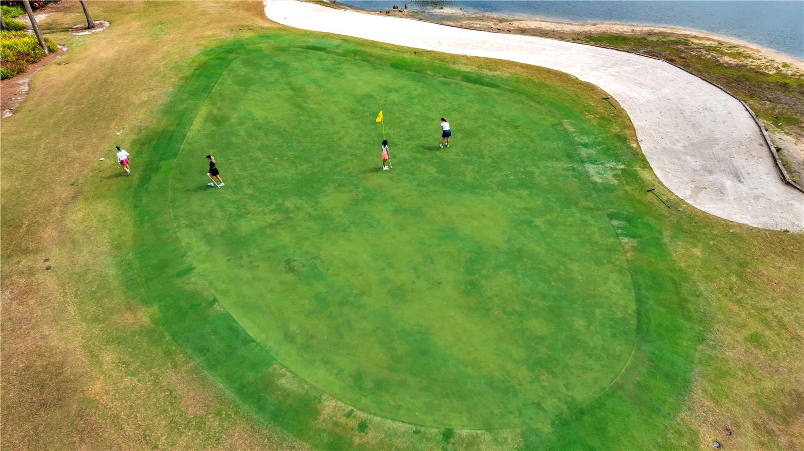 CARROLLWOOD VILLAGE ROLLING GR - Residential